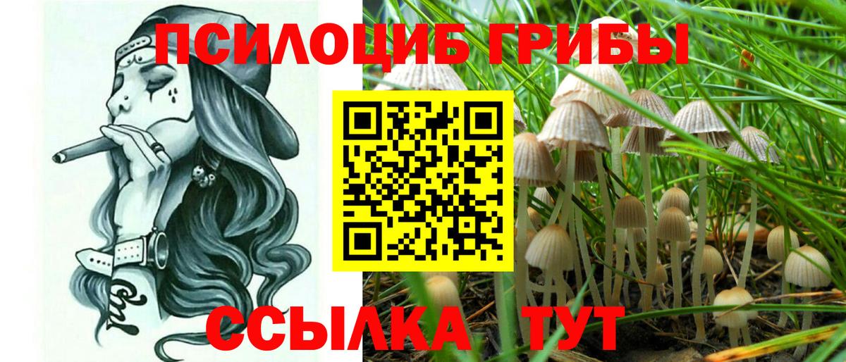 Псилоцибиновые грибы Magic Shrooms Северск