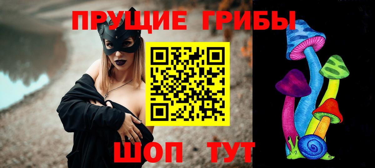 Северск  Псилоцибиновые грибы мухоморы  Вход с VPN 